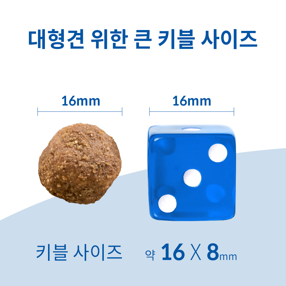 대형견을 위한 건강한 시니어 사료, 힐스 라지브리드 12kg로 챙기세요!