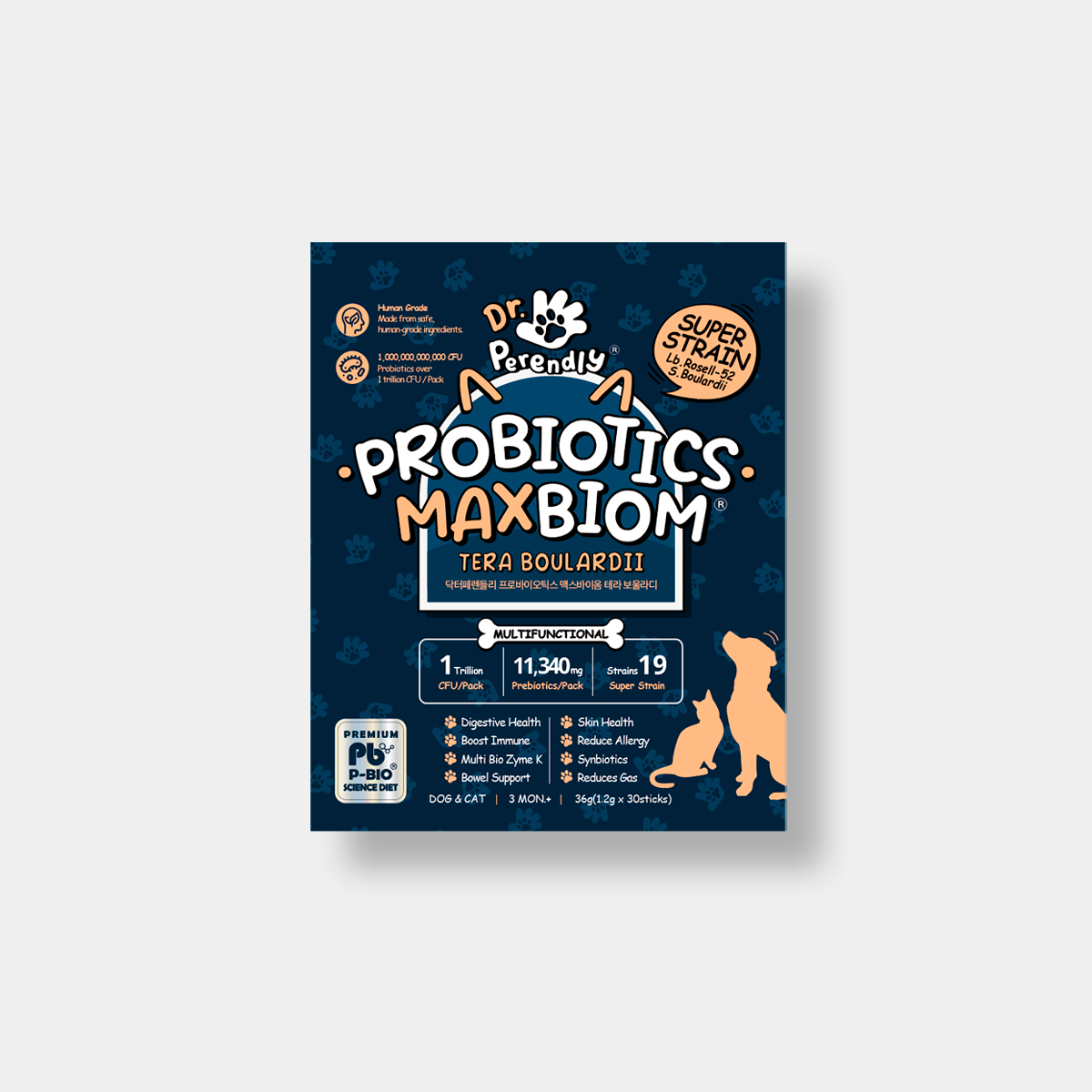 반려동물 건강을 챙기는 간편한 방법, 유산균으로 시작하세요!