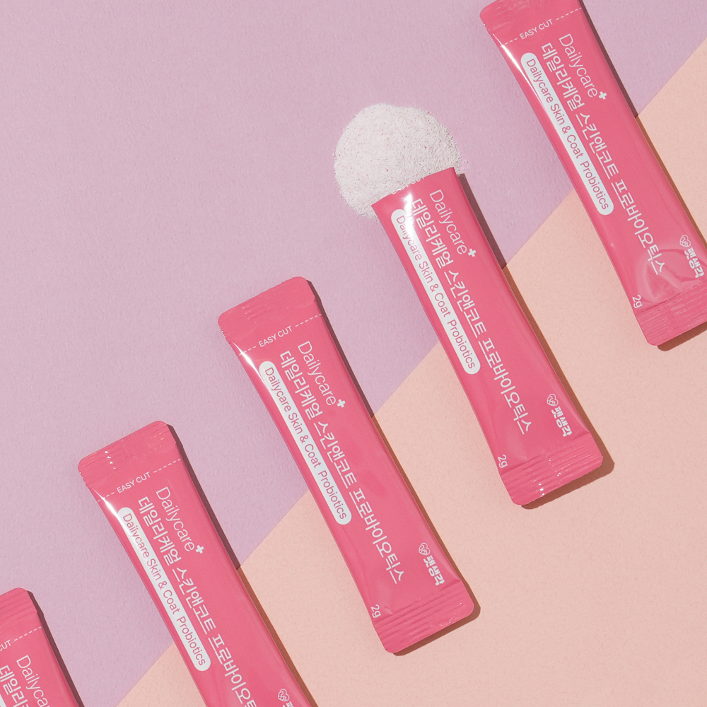 우리 강아지 피부와 건강을 위한 유산균 추천, 한번 살펴보세요!