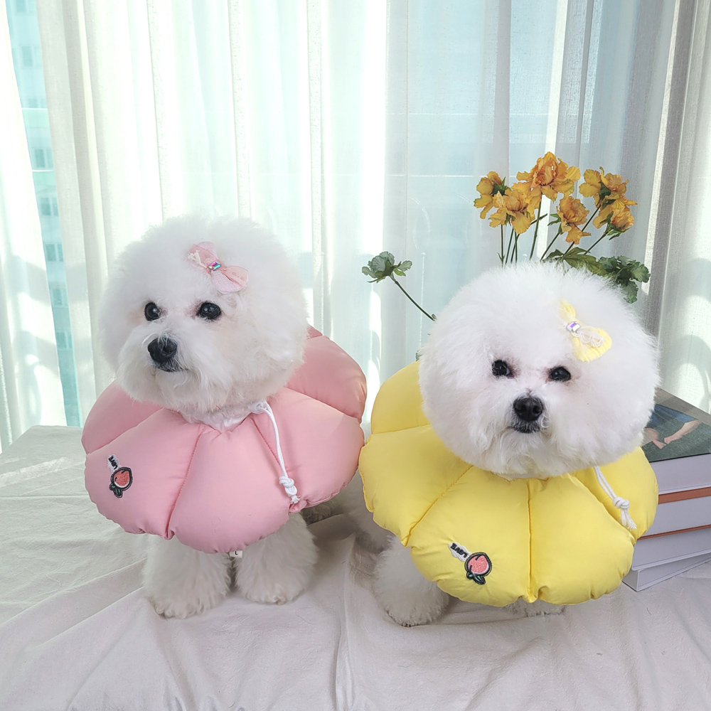 반려동물 넥카라, 이렇게 선택하면 좋아요! 강아지와 고양이 모두 안전하게 보호하는 방법