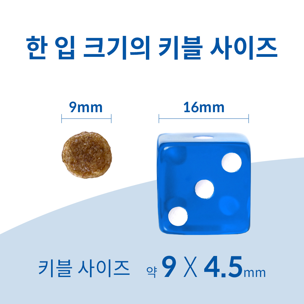 반려견을 위한 건강한 선택, 힐스 강아지사료 어덜트 7+ 스몰바이트 12kg