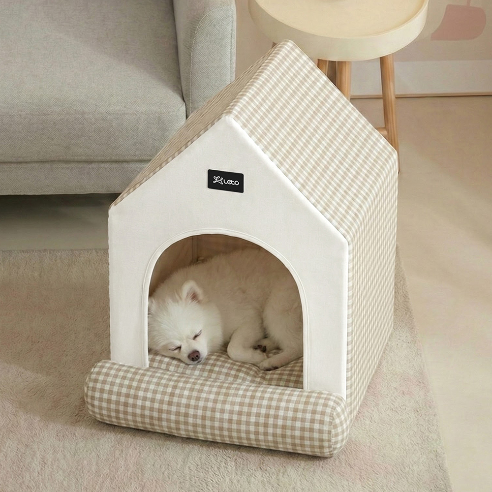 우리 강아지와 고양이도 좋아하는 아늑한 집, 한번 살펴보세요!