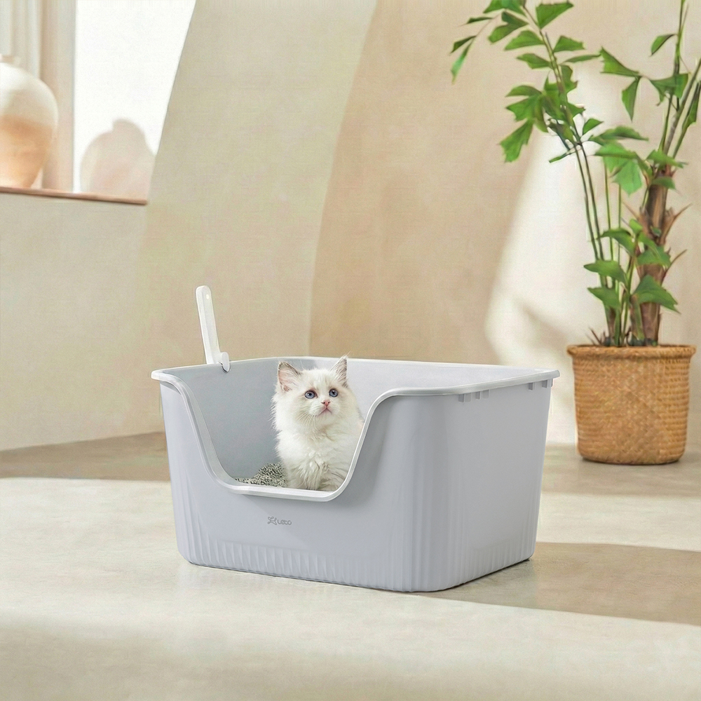 편리하고 넉넉한 크기의 고양이 화장실, 집에 딱 맞는 선택!