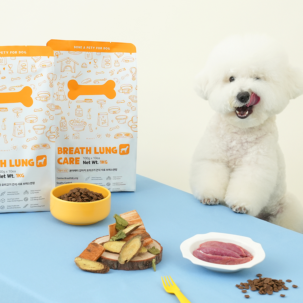 강아지 기관지 건강을 위한 맛있고 안전한 건식사료 추천