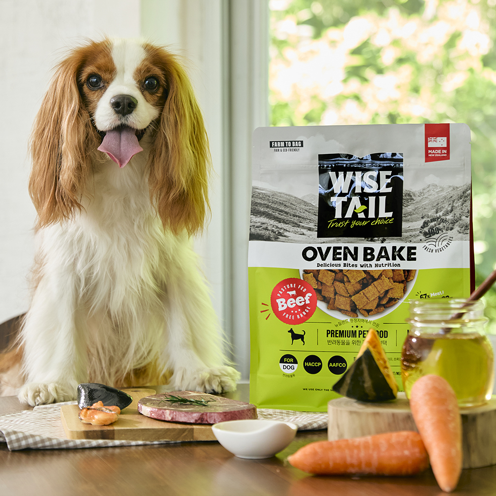 반려견을 위한 건강한 간식, 오븐에서 정성껏 구운 사료 추천!