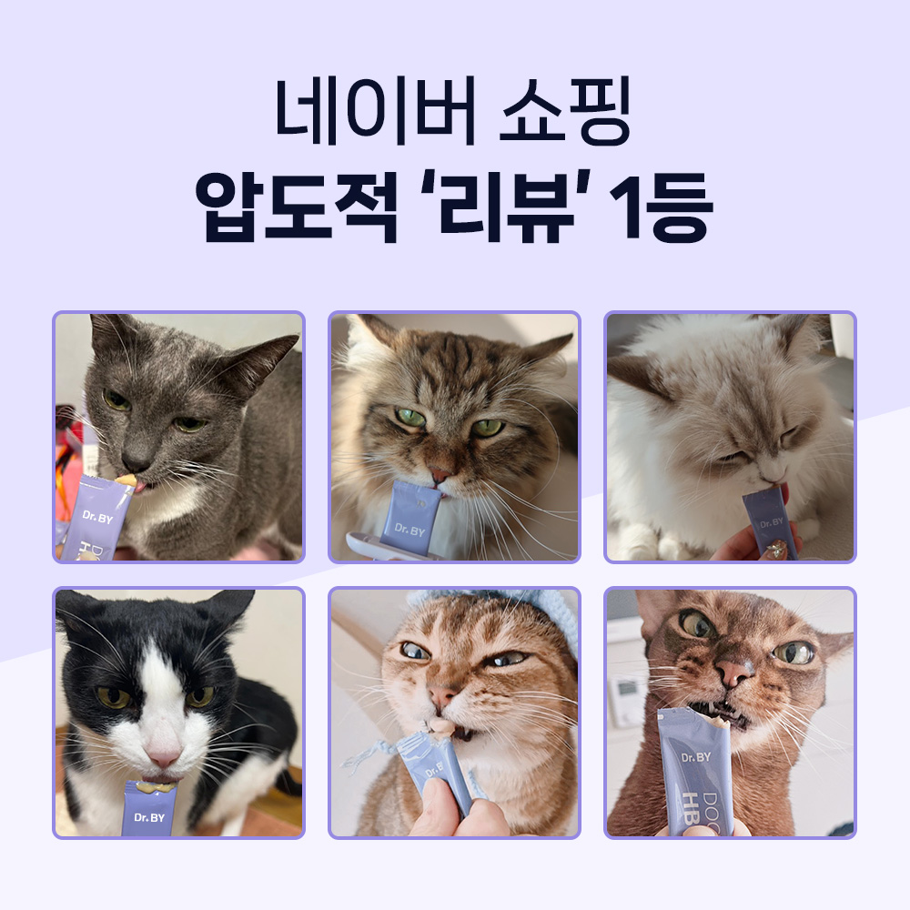 고양이 헤어볼 걱정 끝! 쉽게 챙길 수 있는 영양제 추천