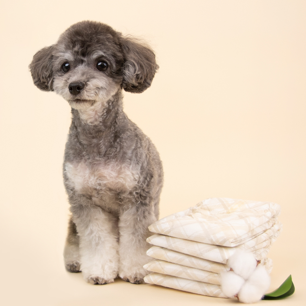 우리 강아지에게 딱 맞는 고급형 기저귀, 어떤 점이 좋을까?