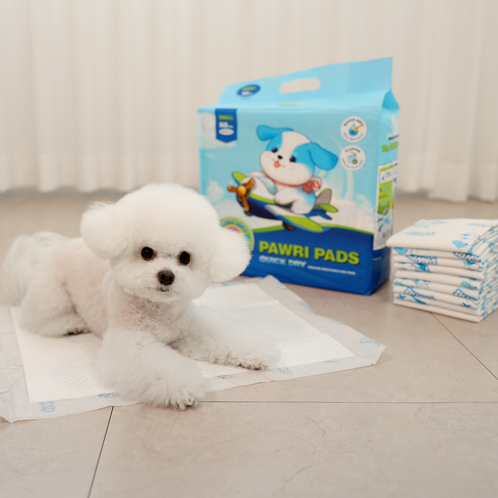 편리하고 두꺼운 대형 배변패드, 집에서도 쉽게 사용할 수 있어요!