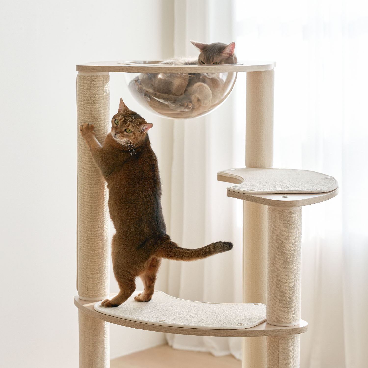 세이펫 4단 캣타워 스누즈T4 기본타입-원형바닥판 스크래쳐+기본스텝