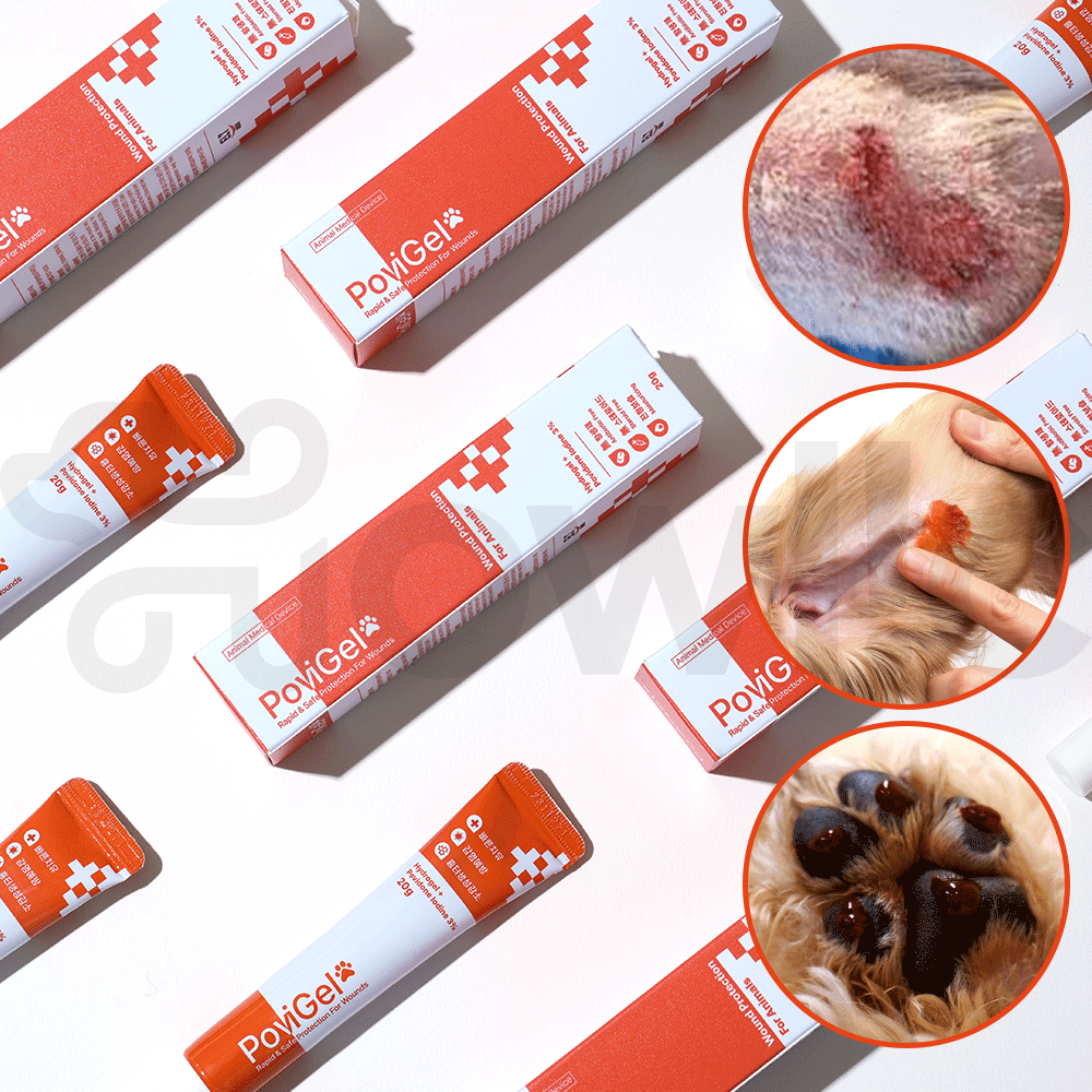 반려동물 피부 건강을 위한 포비겔 연고, 쉽게 이해하고 선택하세요!