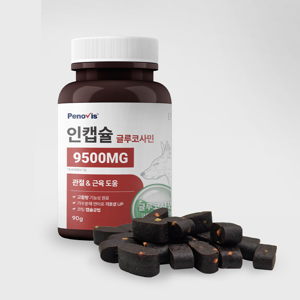 강아지 관절 건강을 위한 영양제, 이렇게 선택하세요!