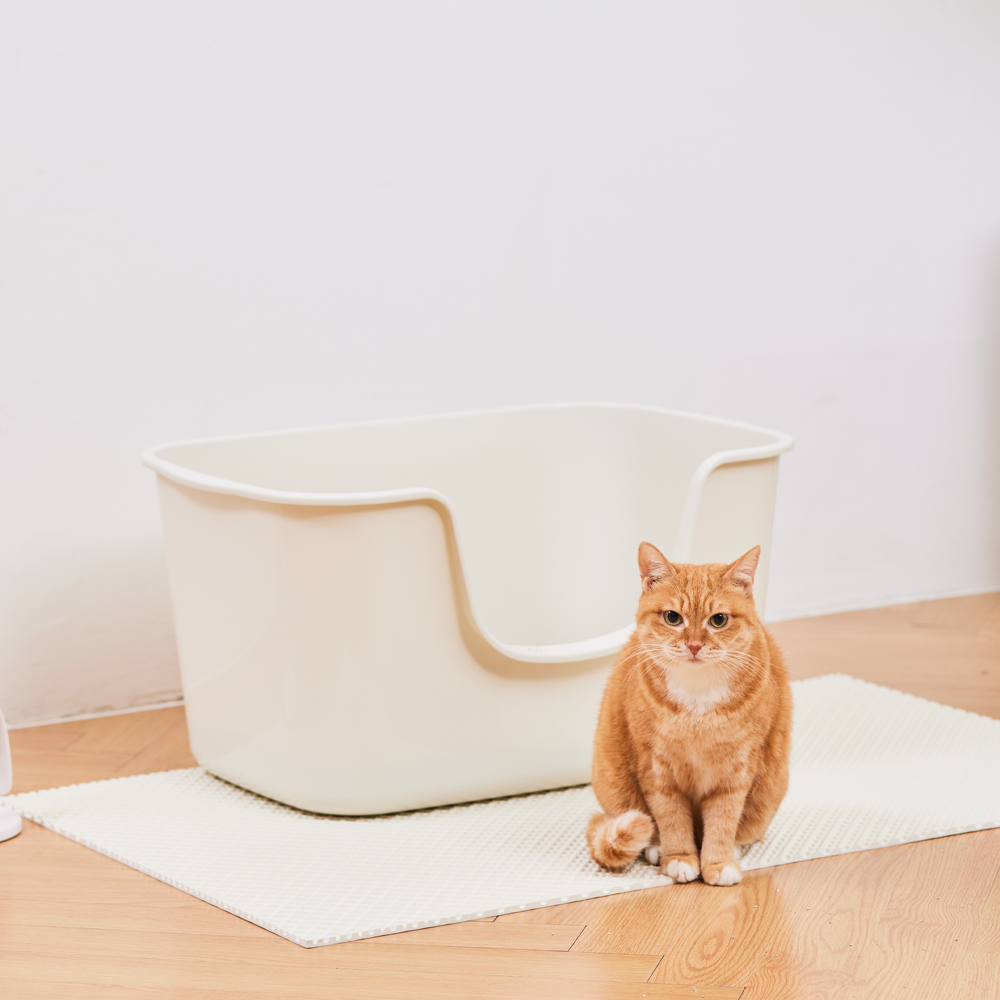 가볍고 넉넉한 크기의 감자밭 고양이 화장실 추천해요!