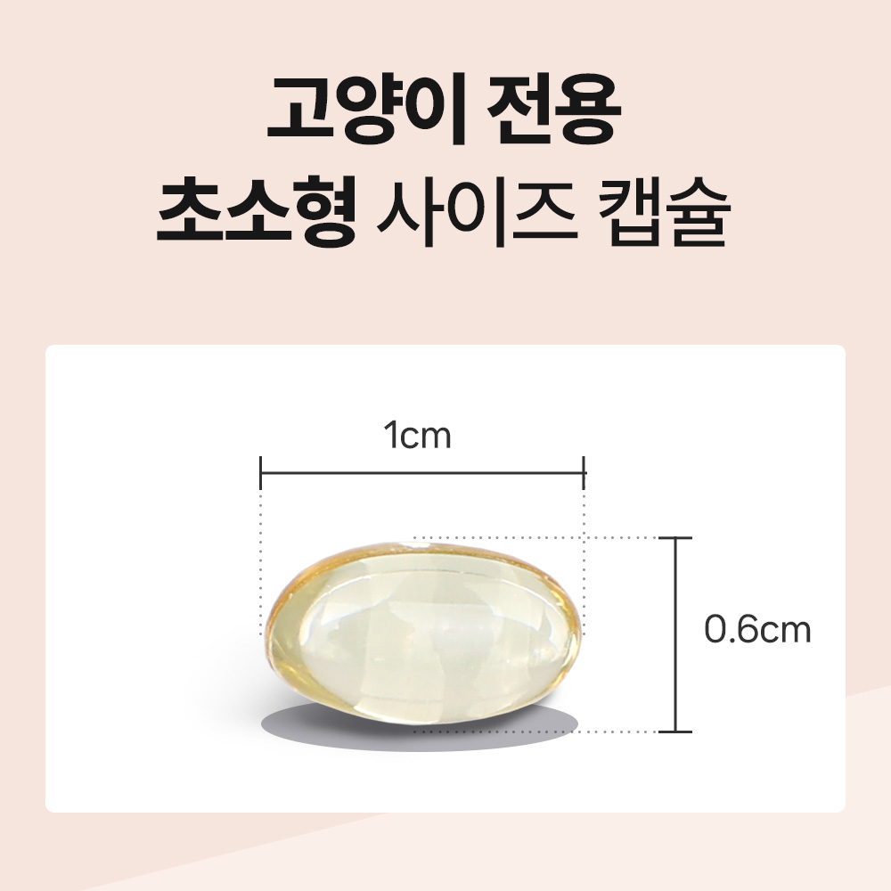 닥터바이 고양이 오메가3 액티브 오메가 리솔브 구강 피부 호흡기 영양제 90캡슐, 1개