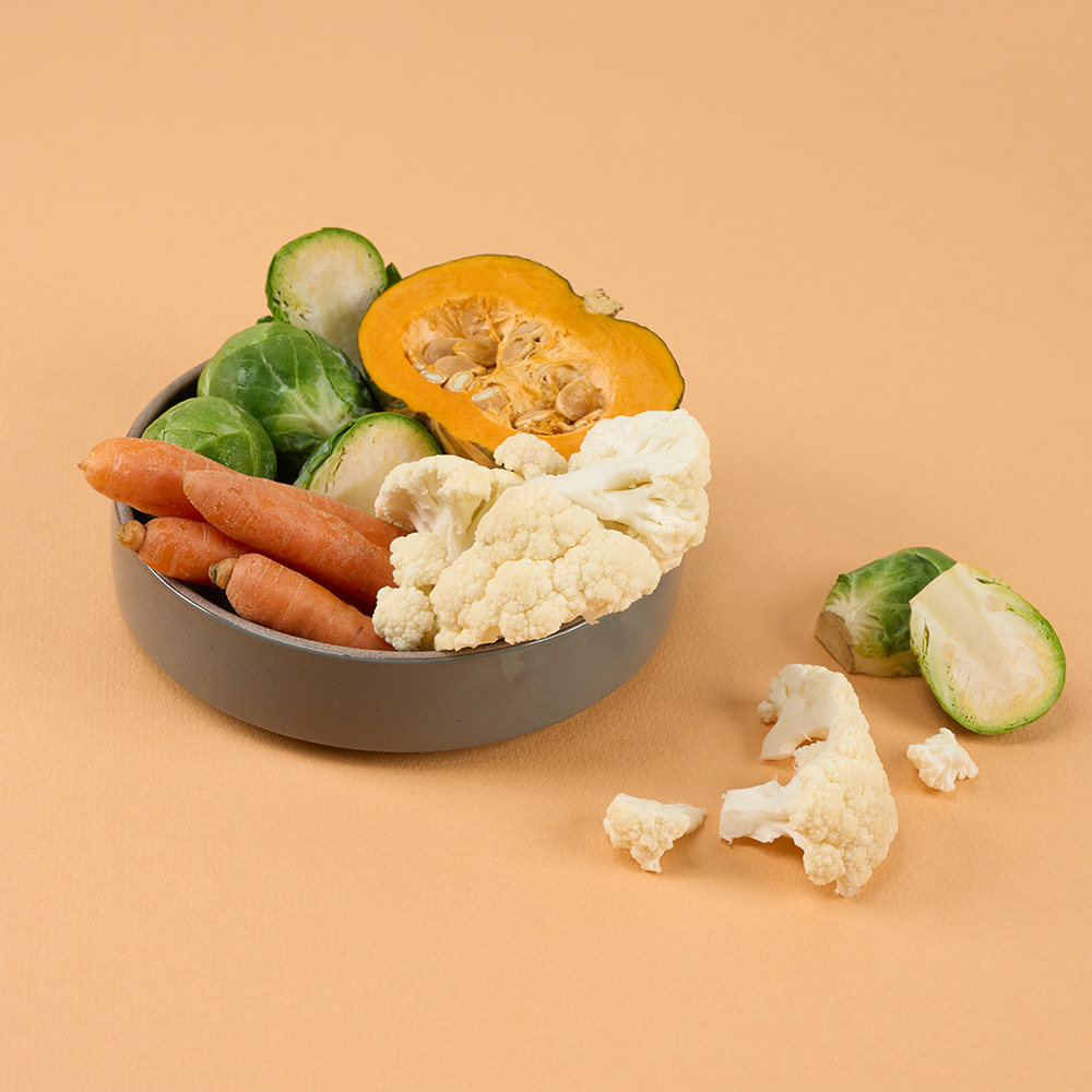 펫생각 믹스 동결건조 강아지 간식 비건 저알러지 단호박 당근 양배추 채소, 25g, 1개