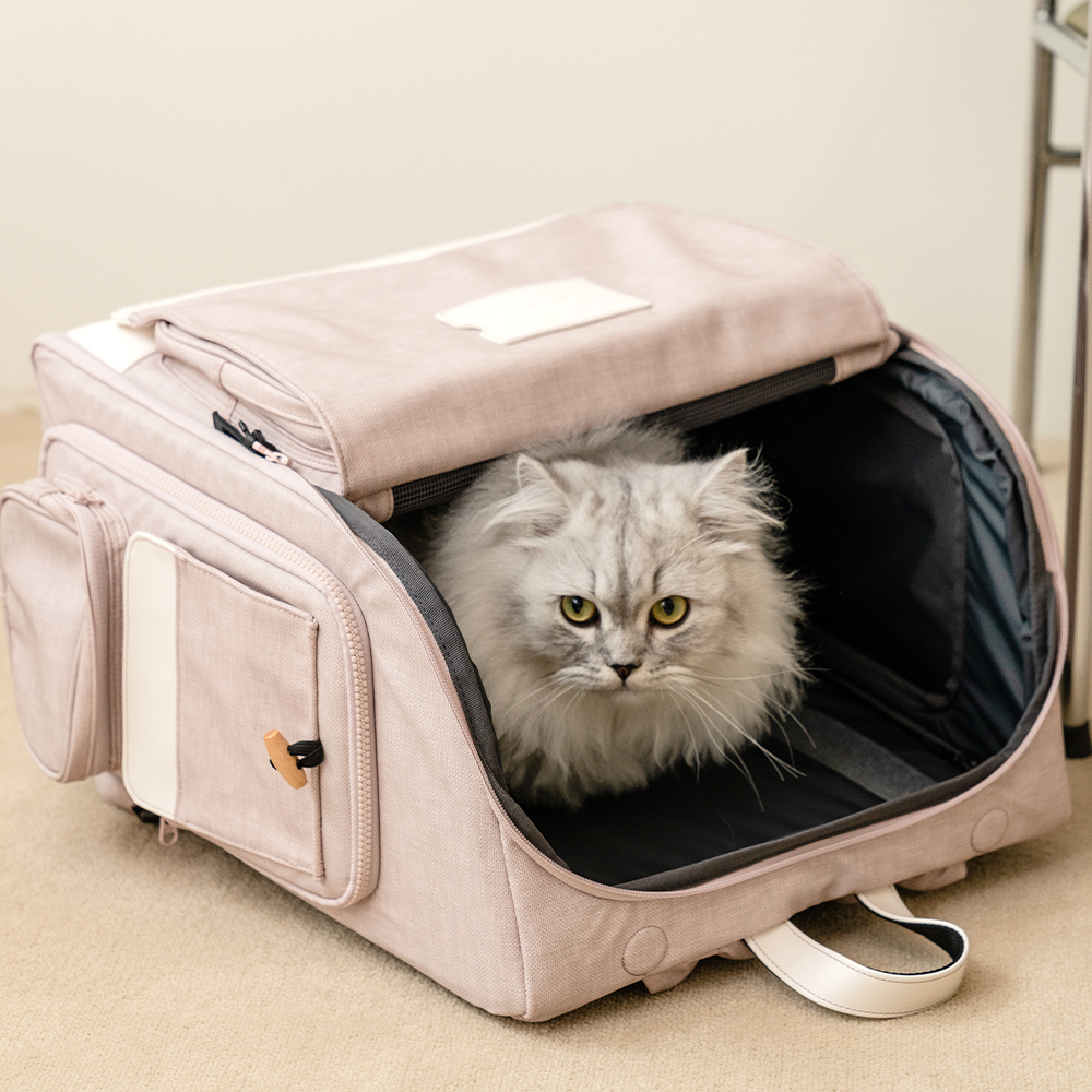 구루구루 위고백 강아지 고양이 이동가방 애견 반려견 소형견 펫 캣 백팩 기내 이동장 방수