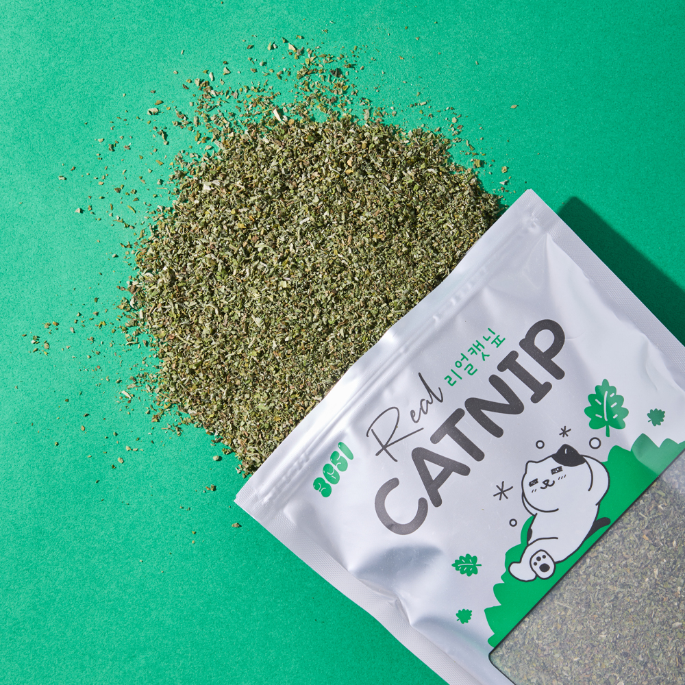 3651 리얼캣닢 캣그라스 대용량 벌크 고양이 캣닢가루 100g