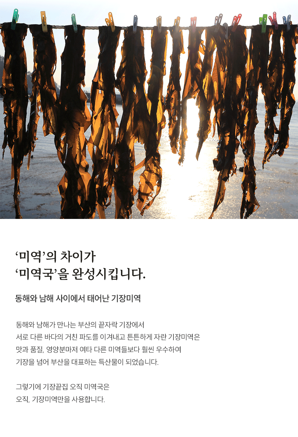 [기장끝집] 5팩세트(전복미역국2+전복죽3) 밀키트 캠핑 글램핑 생일