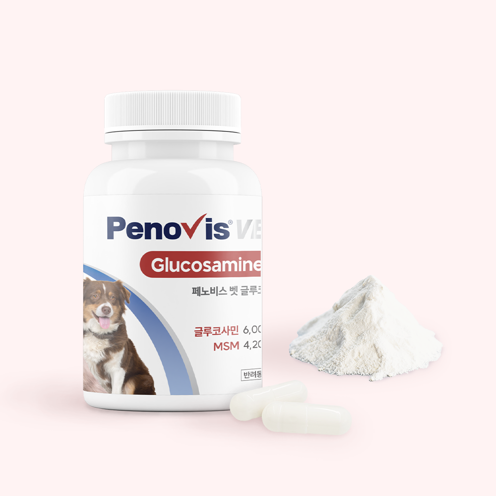 페노비스 강아지 관절영양제 슬개골 연골 관절염 고양이 칼슘 노견영양제 캡슐 벳 글루코사민