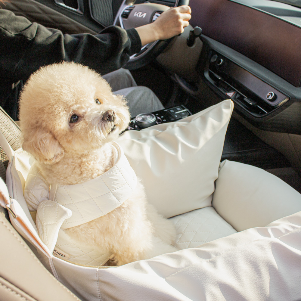 초코펫하우스 강아지 카시트 애견 차량용 소형 중형 대형 로얄 사각 카시트 아이보리, 싱글