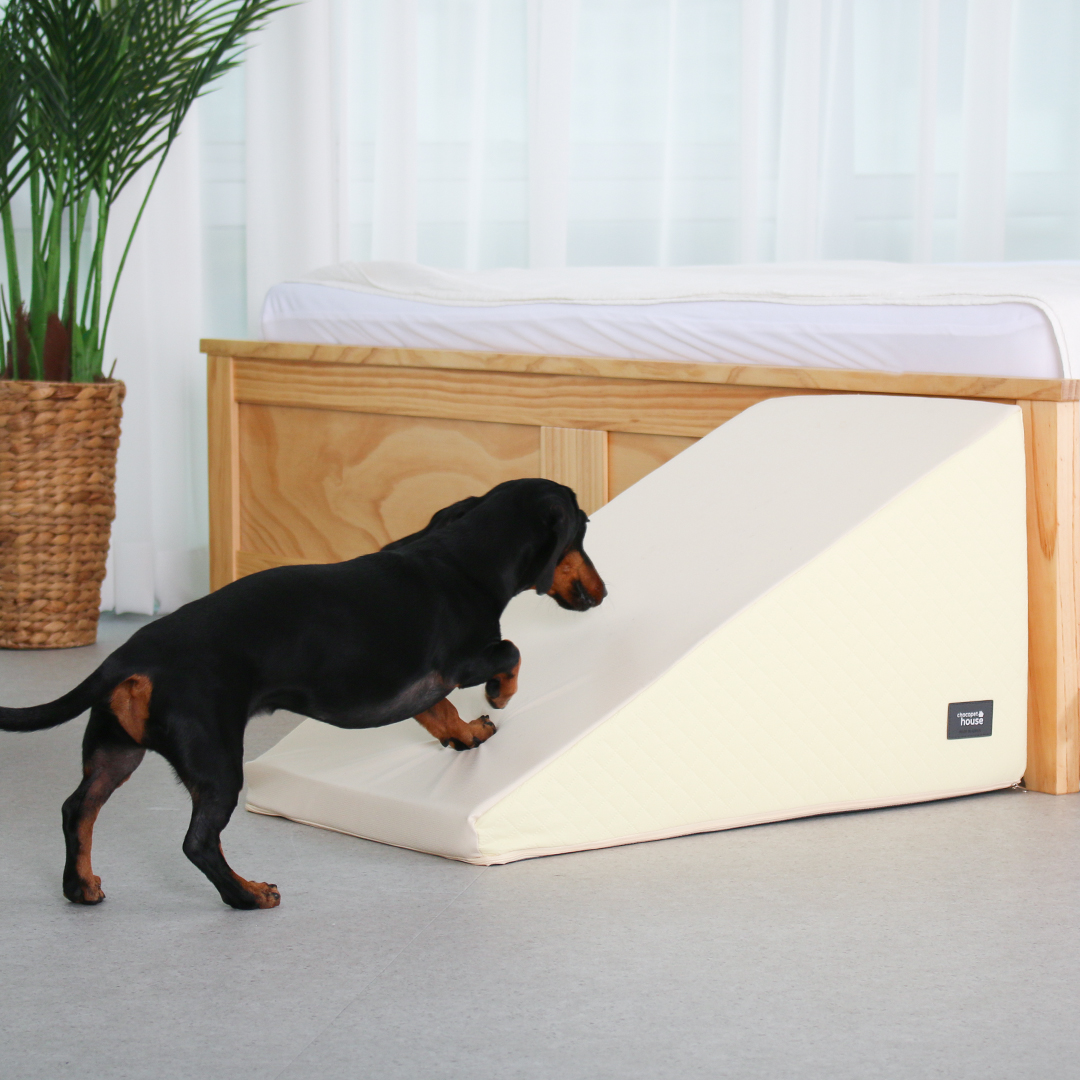 초코펫하우스 강아지계단 논슬립스텝3.0 일반형