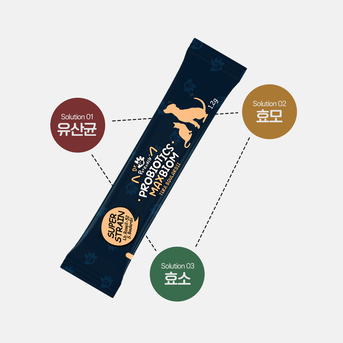 닥터페렌들리 맥스바이옴 강아지 고양이 유산균 장건강 설사 변비 면역력 30포, 5개