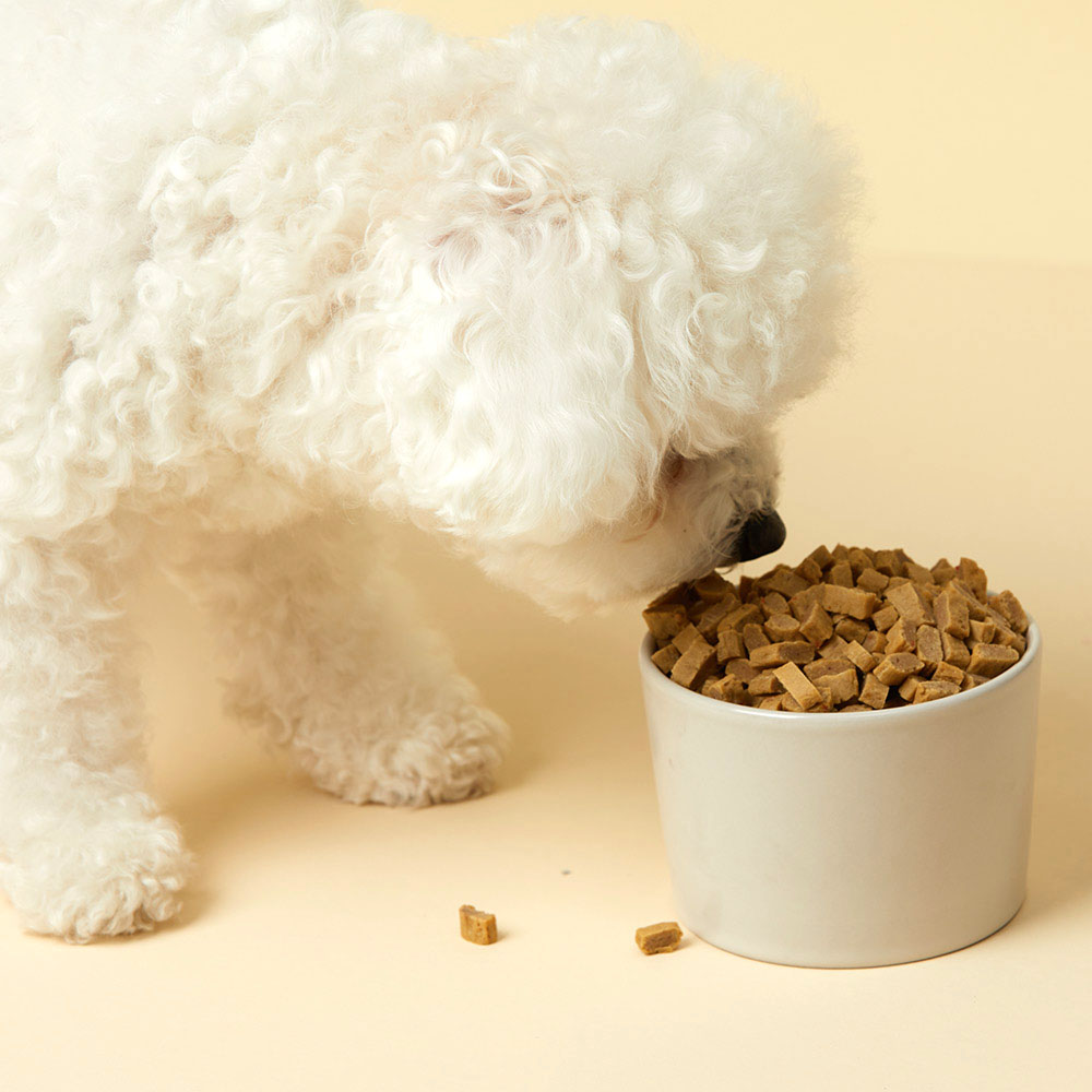 펫토리아 한끼뚝딱 말랑말랑 소프트 강아지 사료 황태+오리, 3kg, 1개