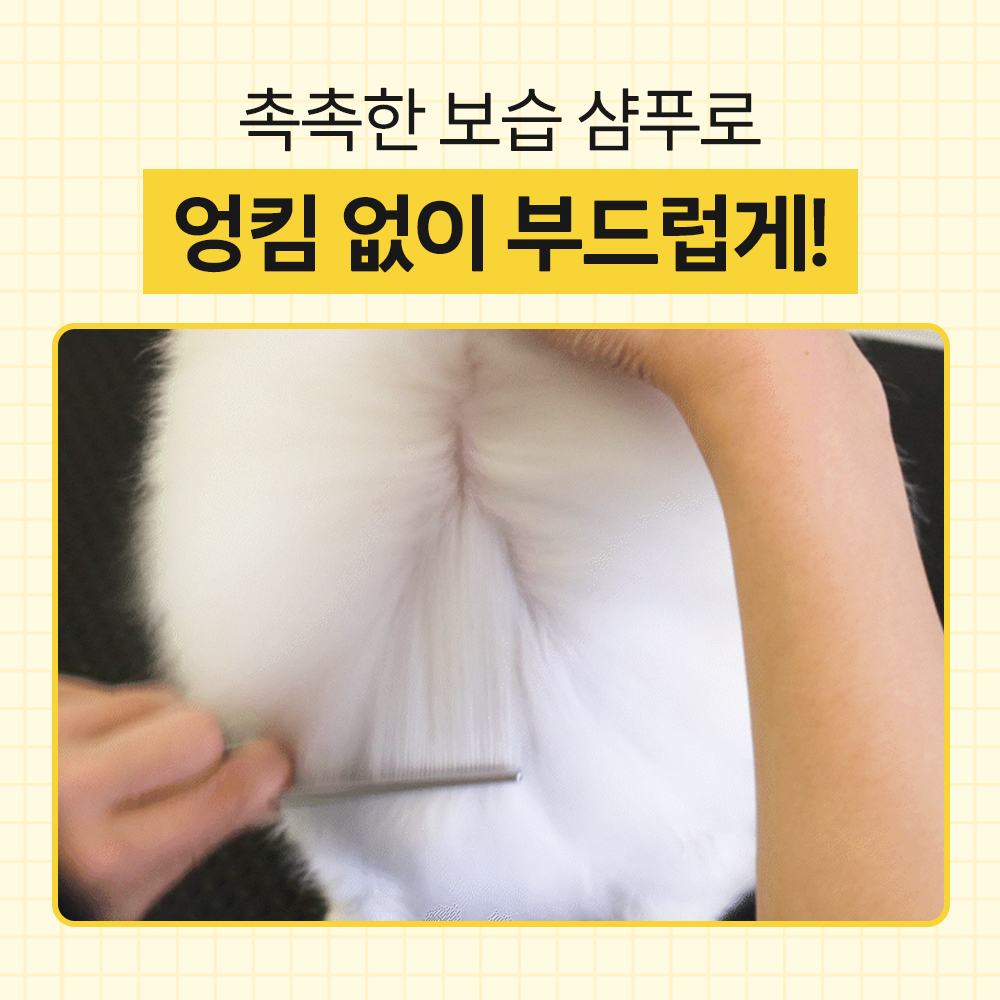 바이랩 스킨 밸런스 버블 강아지 샴푸 바로거품 저자극 펫 목욕 샴푸 320ml, 1개