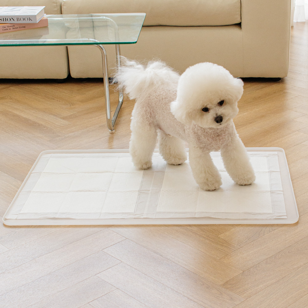 강아지 배변매트 애견 배변판 화장실 항균 실리콘 퍼펙트토일렛2.0 싱글