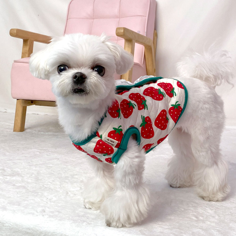 강아지 옷 조끼 오가닉 내복 실내복 노령견 잠옷 베이비곰 양면조끼 XS