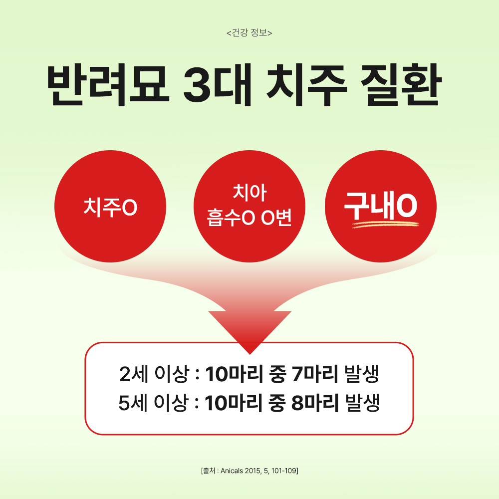 닥터바이 오랄 고양이 구내염 구강 이빨 치석 치태 입냄새 영양제 30포, 1개