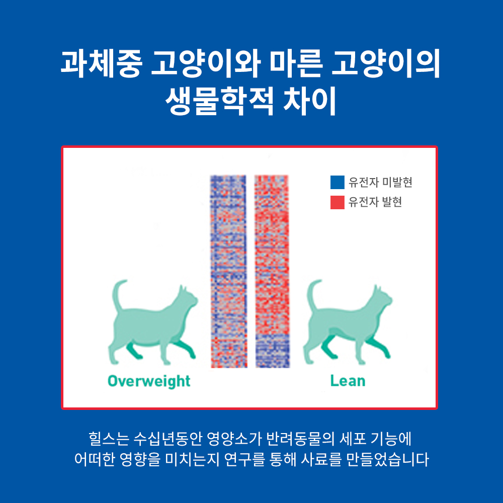 힐스 고양이사료 어덜트 퍼펙트 웨이트 1.4kg x 2개