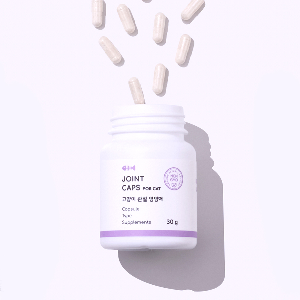 본아페티 조인트캡스포캣 고양이 관절 영양제 60캡슐, 1개