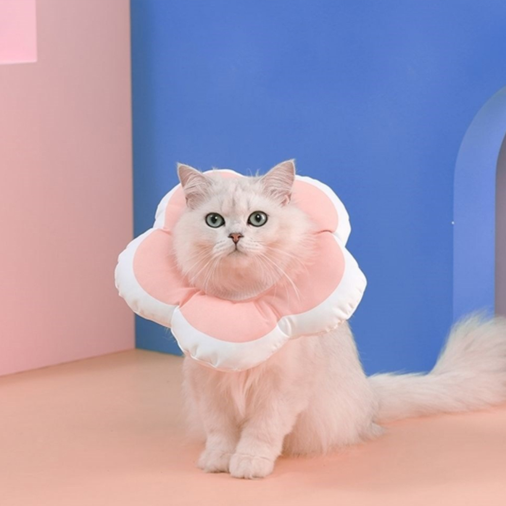 리치독스 강아지 넥카라 애견 고양이 깔대기 중성화 자수방수 S