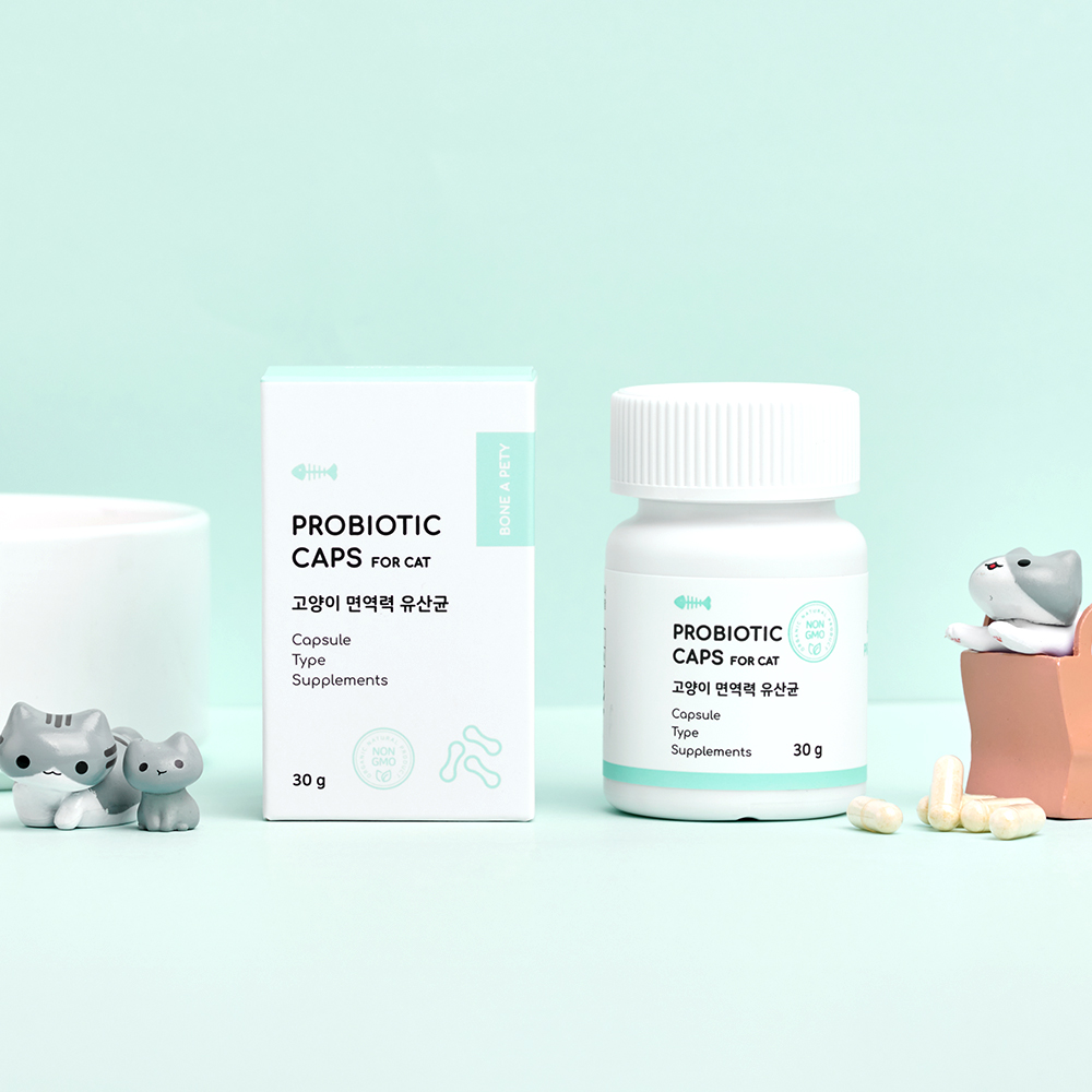본아페티 고양이 구강관리 유산균 프로바이오틱캡스포캣 아기 설사 변비 캡슐 60포, 1개