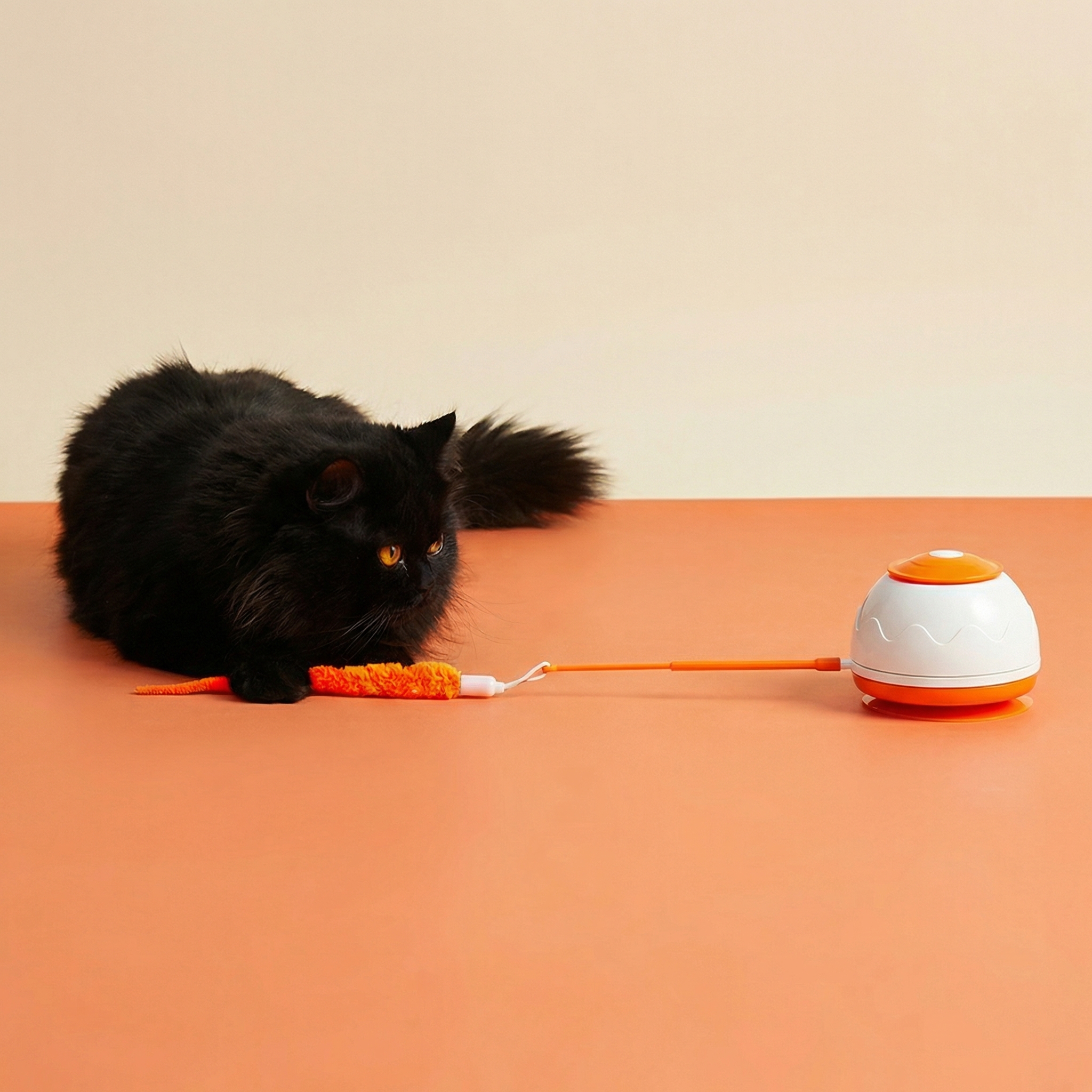 리스펫 고양이 장난감 움직이는 자동 멀티 꼬리잡기[3세대 리뉴얼]