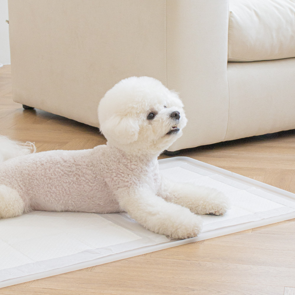 강아지 배변매트 애견 배변판 화장실 항균 실리콘 퍼펙트토일렛2.0 싱글