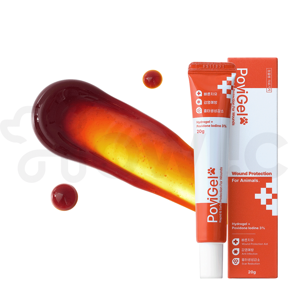 포비겔 강아지 고양이 곰팡이성 피부염 피부병 약 아토피 상처 연고 농피증 링웜 발습진 약