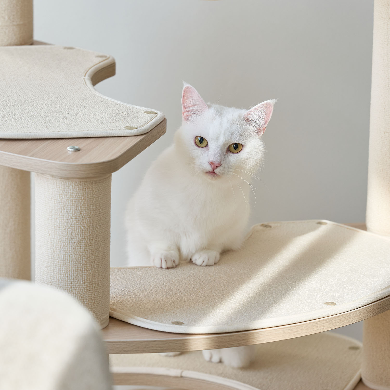 세이펫 4단 캣타워 스누즈T4 기본타입-원형바닥판 스크래쳐+기본스텝