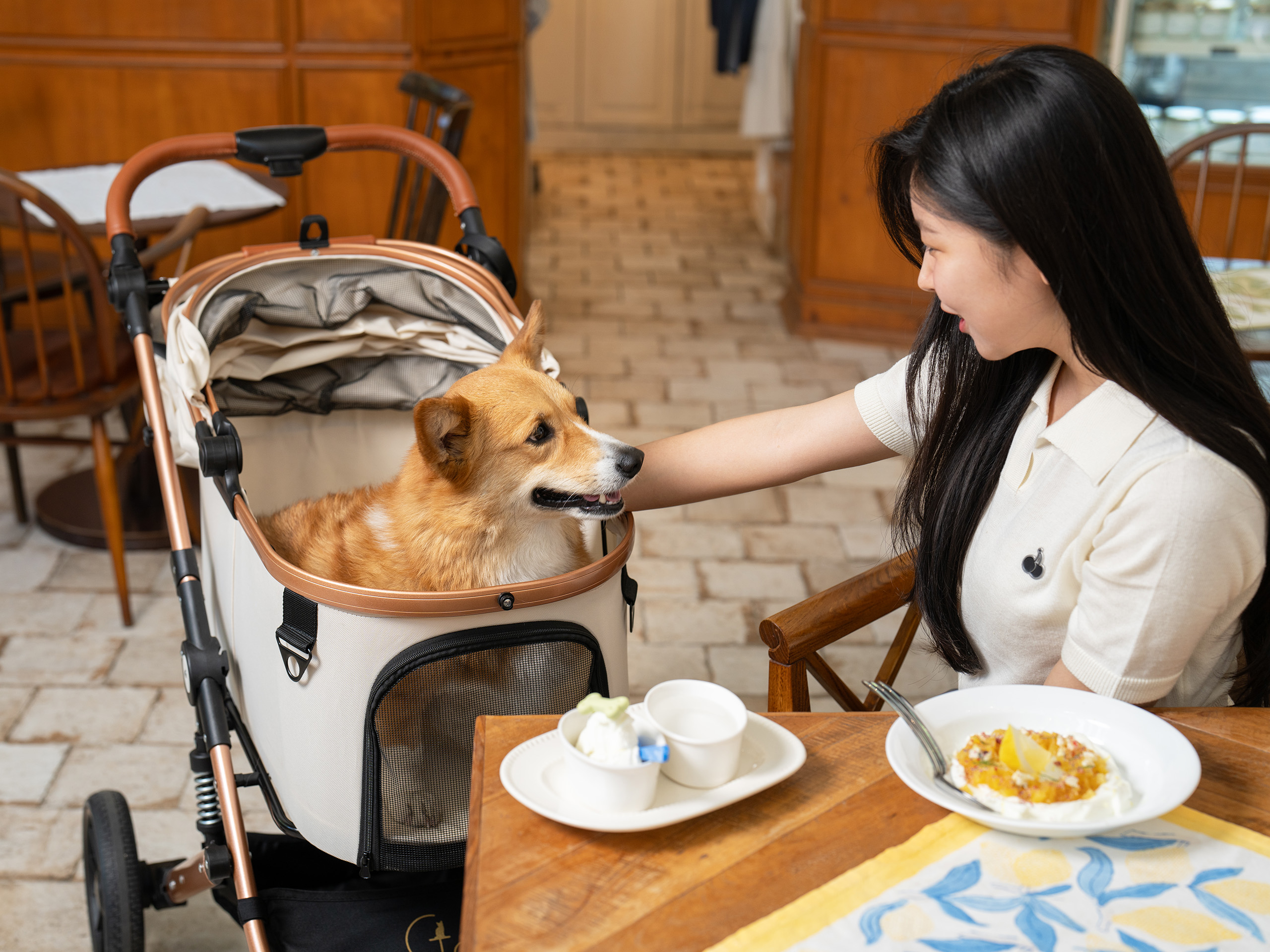 가르르 도기로버 골드 대형 강아지 유모차 개모차 애견 반려견 고양이 대형견 웨건 분리형 유모차