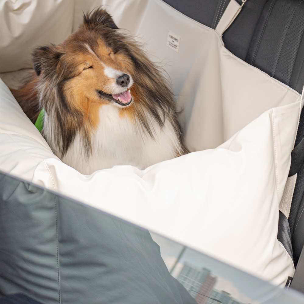초코펫하우스 강아지 카시트 애견 차량용 소형 중형 대형 로얄 사각 카시트 아이보리, 싱글