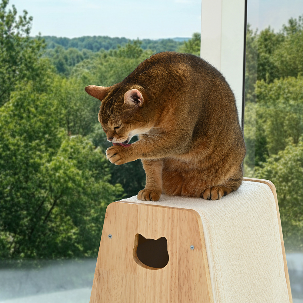 펫코본 고양이 스크래쳐 숨숨집 원목 수직 창문 캣타워 S