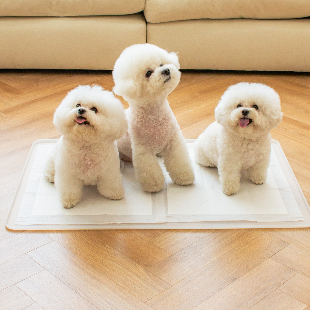 강아지 배변매트 애견 배변판 화장실 항균 실리콘 퍼펙트토일렛2.0 싱글