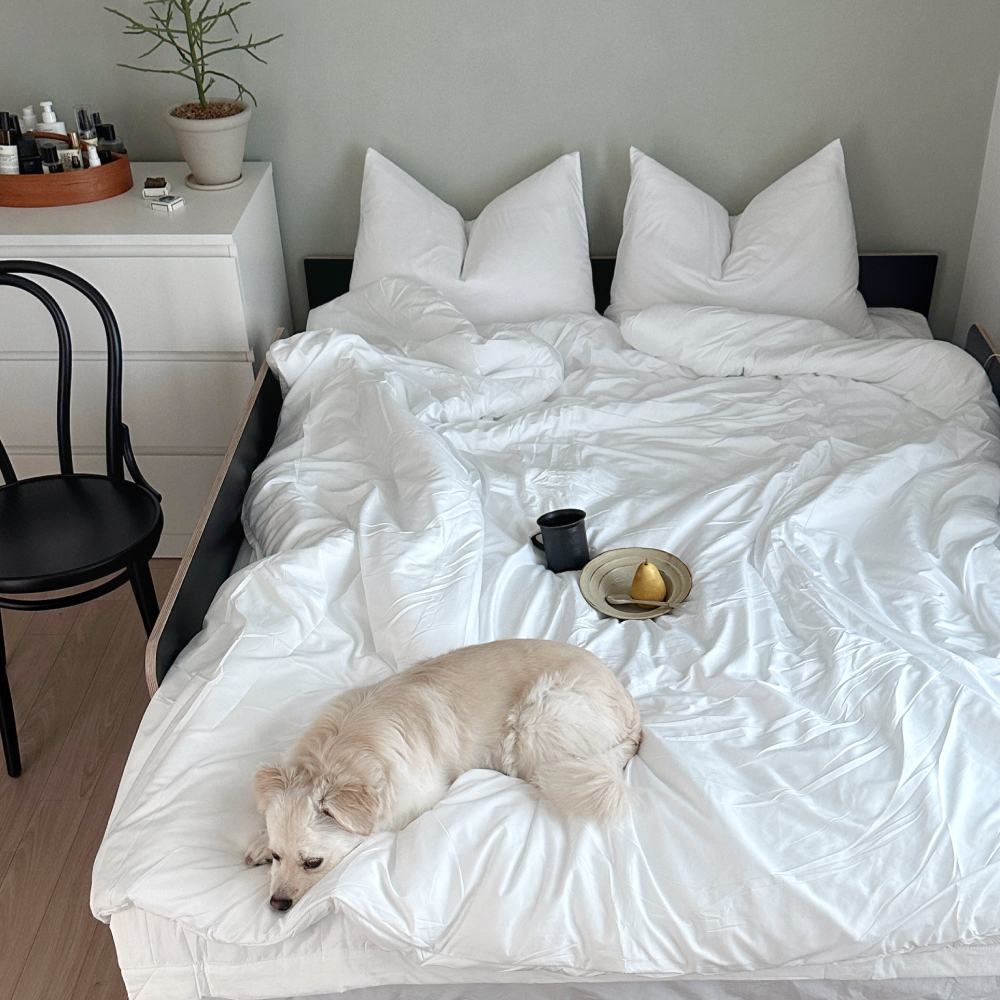 사계절 이불 알러지케어 차렵 봄이불 침구 기본형 단품 S