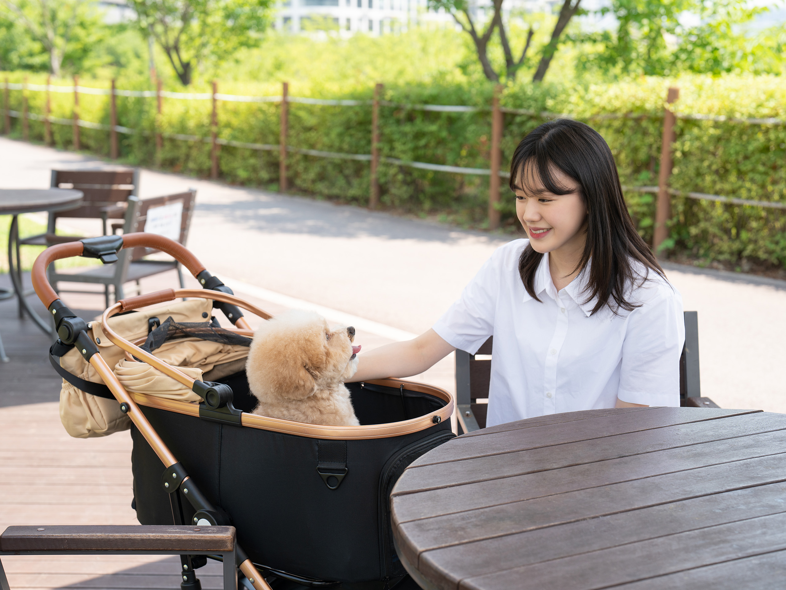 가르르 도기로버 골드 대형 강아지 유모차 개모차 애견 반려견 고양이 대형견 웨건 분리형 유모차