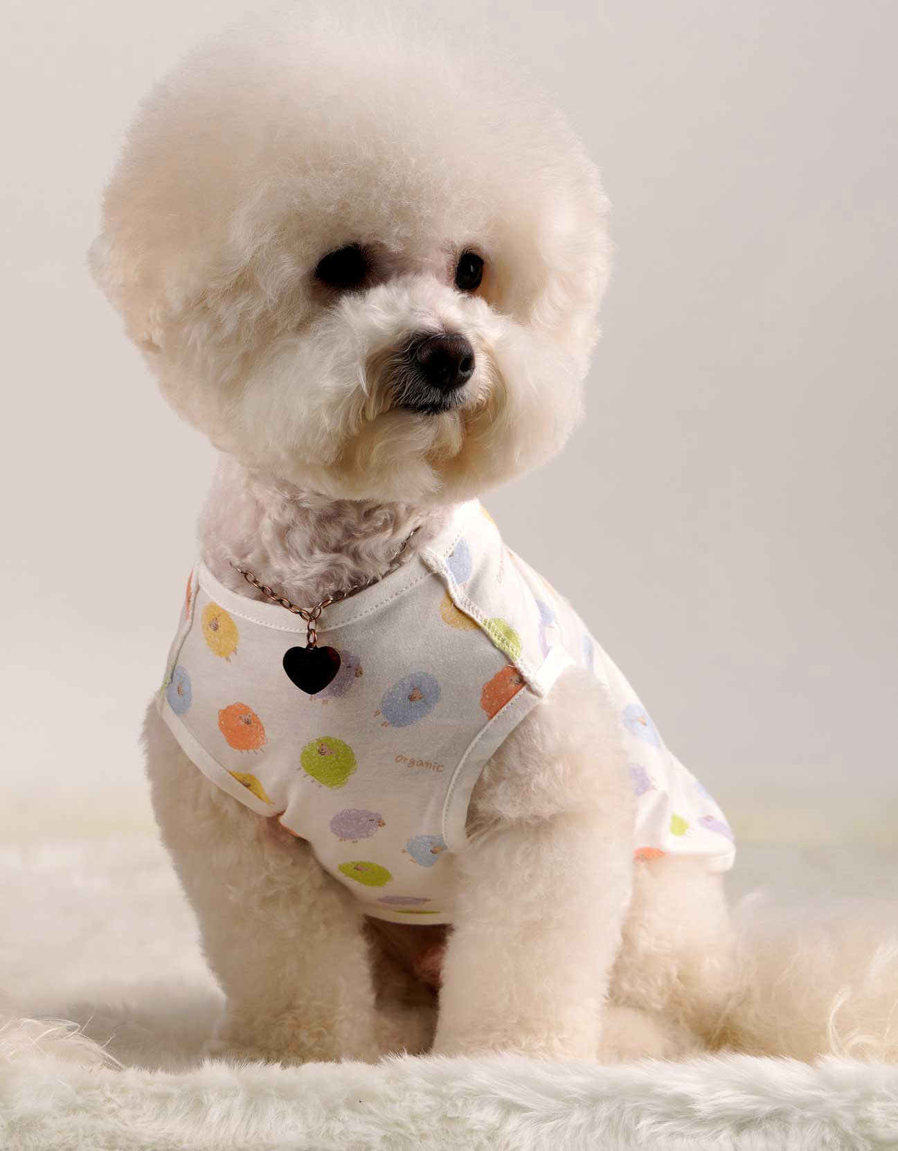 강아지 옷 조끼 오가닉 내복 실내복 노령견 잠옷 베이비곰 양면조끼 XS