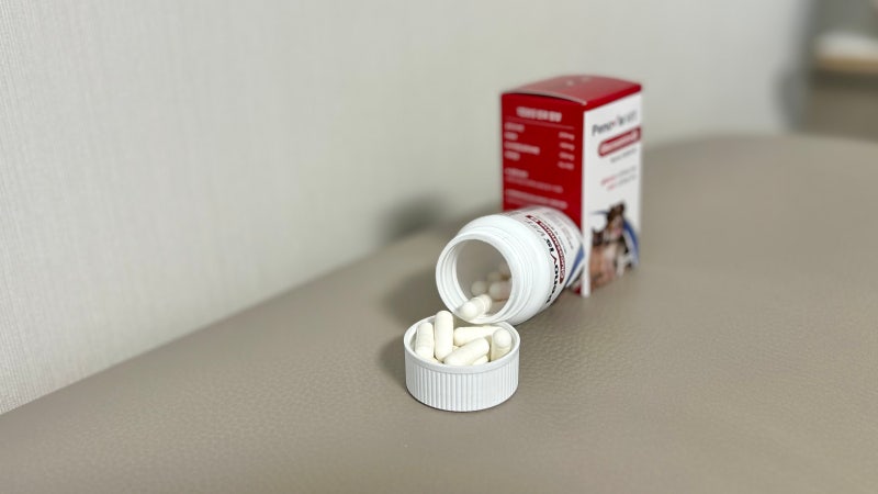 페노비스 강아지 관절영양제 슬개골 연골 관절염 고양이 칼슘 노견영양제 캡슐 벳 글루코사민