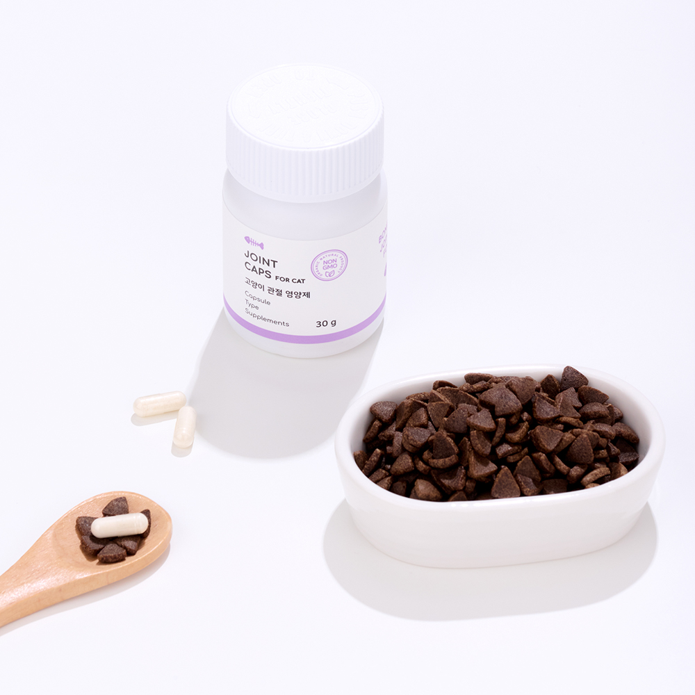 본아페티 조인트캡스포캣 고양이 관절 영양제 60캡슐, 1개