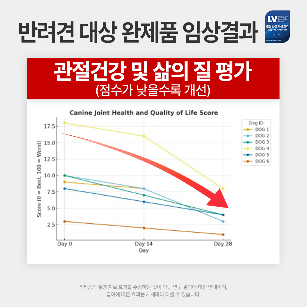 [임상완료] 펫생각 강아지 관절 영양제 칼슘 슬개골 고관절 관절염 조인트 프로, 60정, 1개
